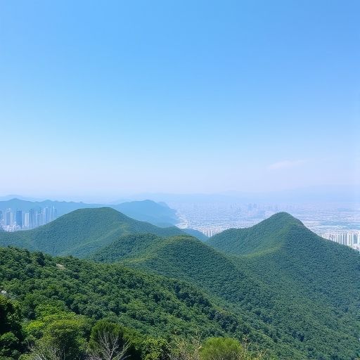 广州白云山风光